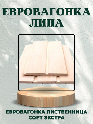 Евровагонка липа